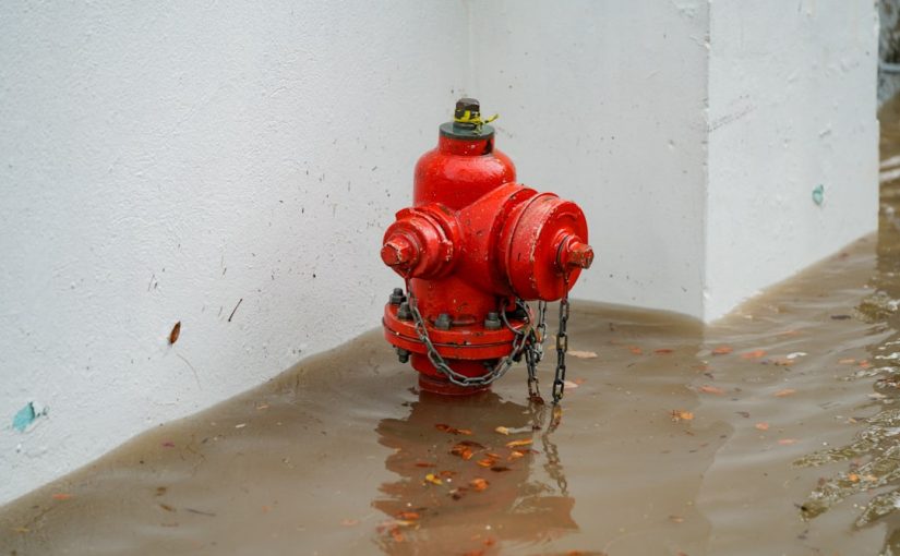 A red fire hydrant in a flooded area